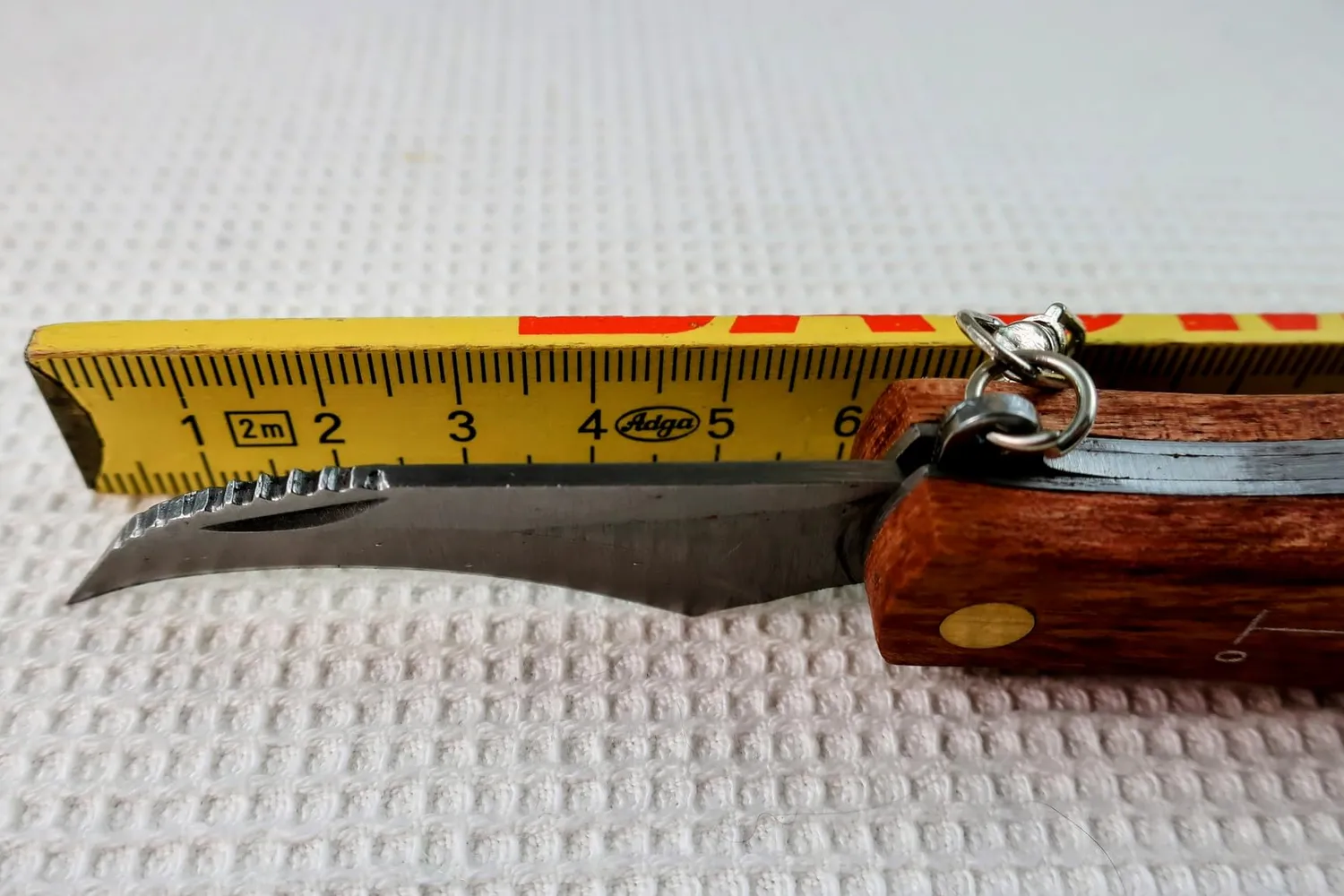 Jason Pilzmesser mit Bürste Set 2 Stück Klappmesser Holzgriff