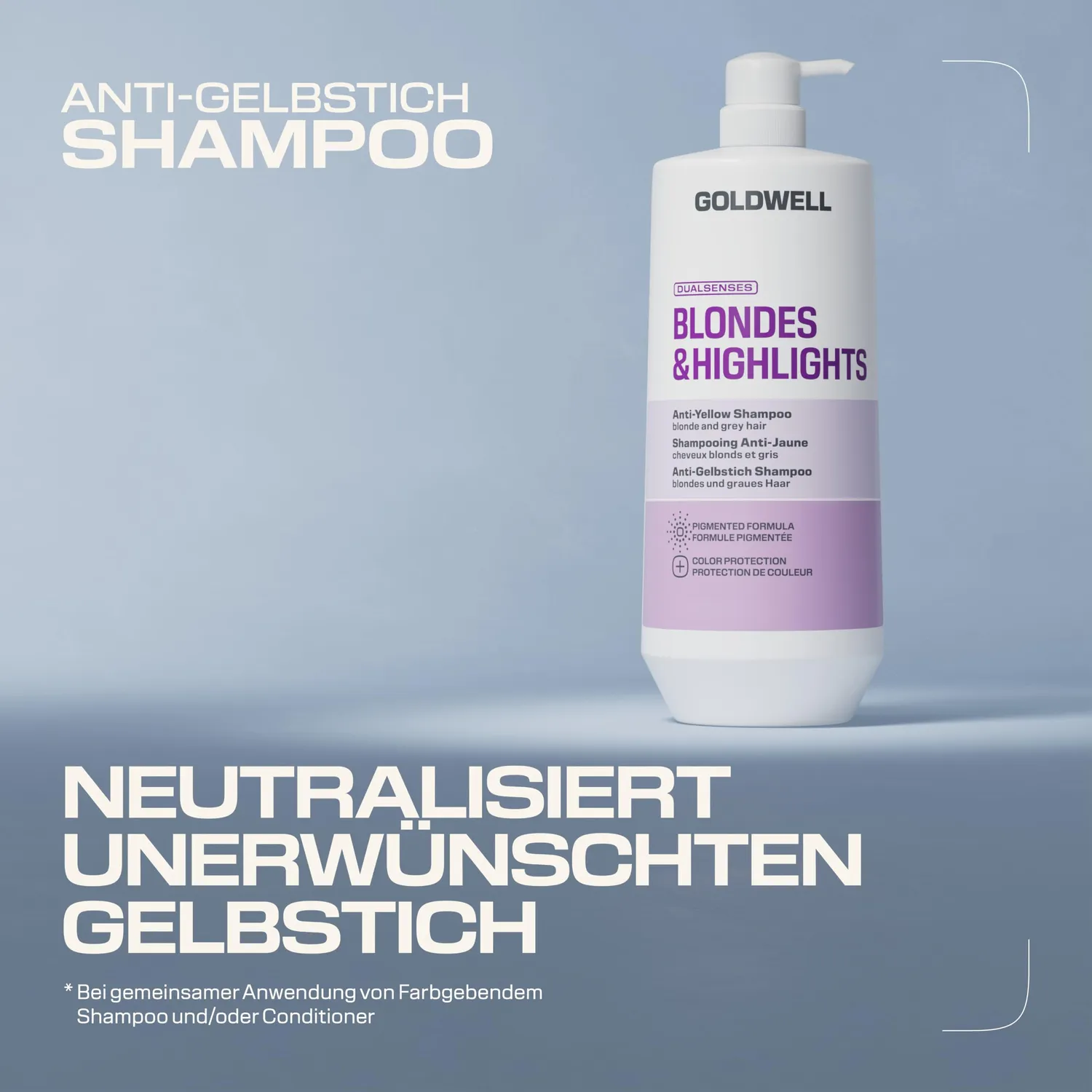 Goldwell Dualsenses Blondes & Highlights Shampoo 1 l Anti-Gelbstich