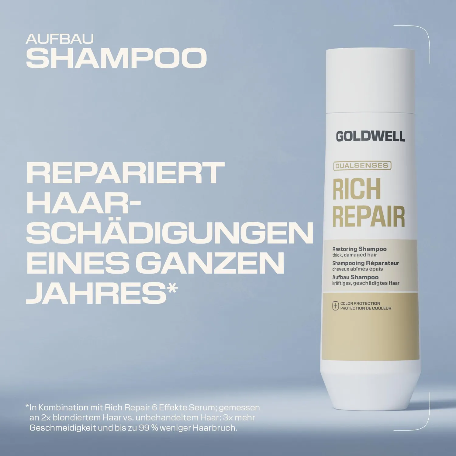 Goldwell Dualsenses Rich Repair Shampoo 250 ml geschädigt