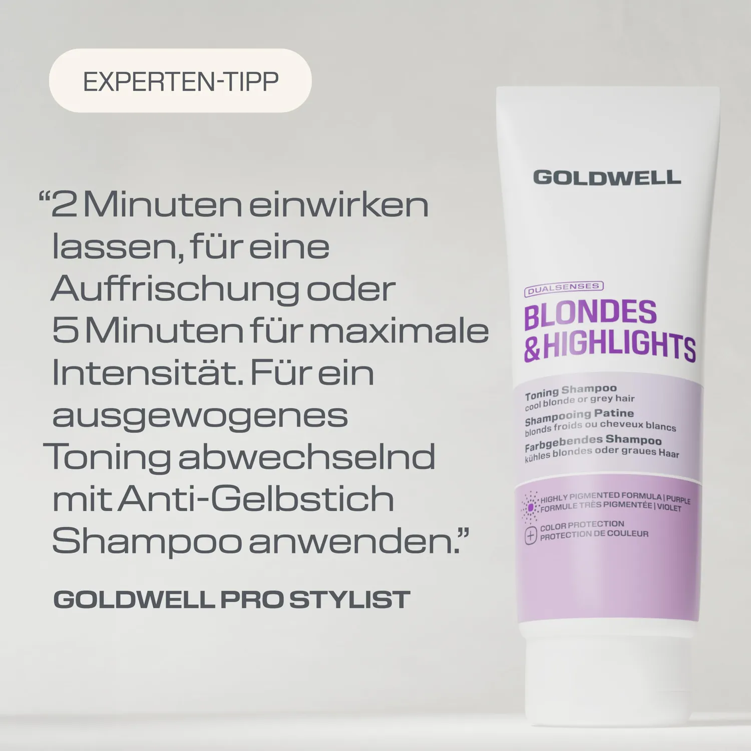 Goldwell Dualsenses Blondes & Highlights Shampoo Kühles Blond Neu