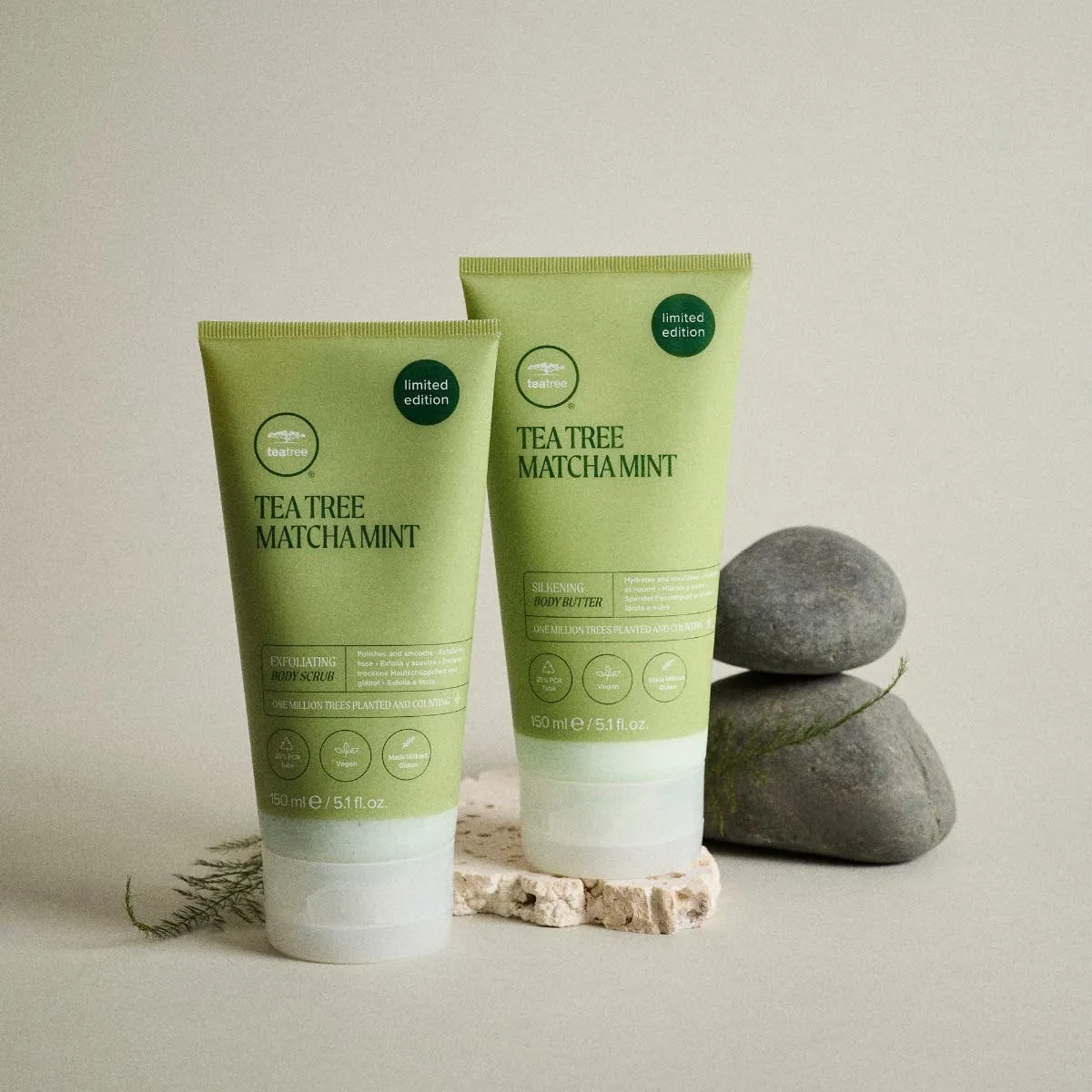 Paul Mitchell Tea Tree Matcha Mint Körperset 2x 5.1 oz.