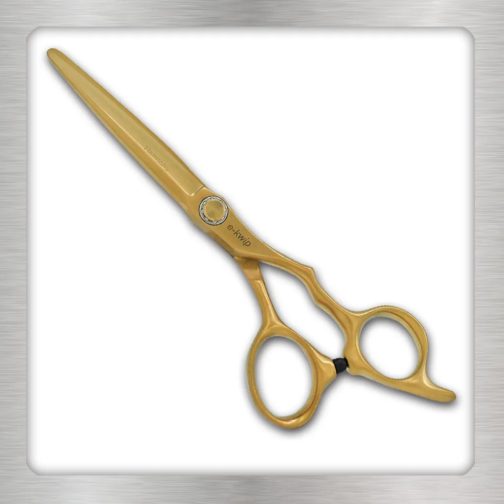 e-kwip Harmony Set Scheren Matt Gold VG-10 2-teilig