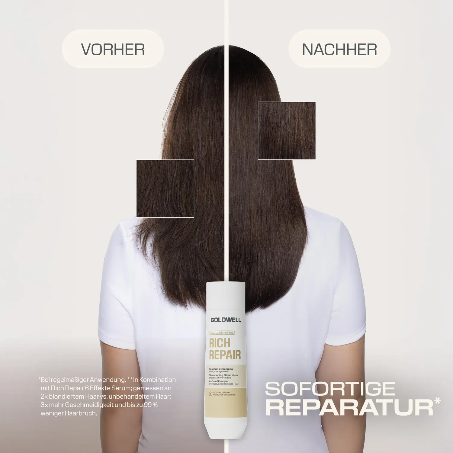 Goldwell Dualsenses Rich Repair Shampoo 250 ml geschädigt