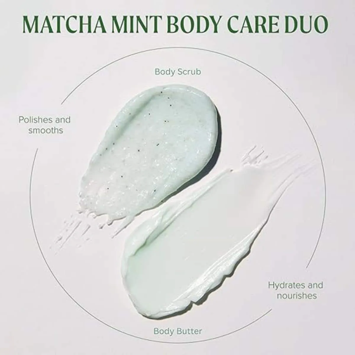 Paul Mitchell Tea Tree Matcha Mint Körperset 2x 5.1 oz.