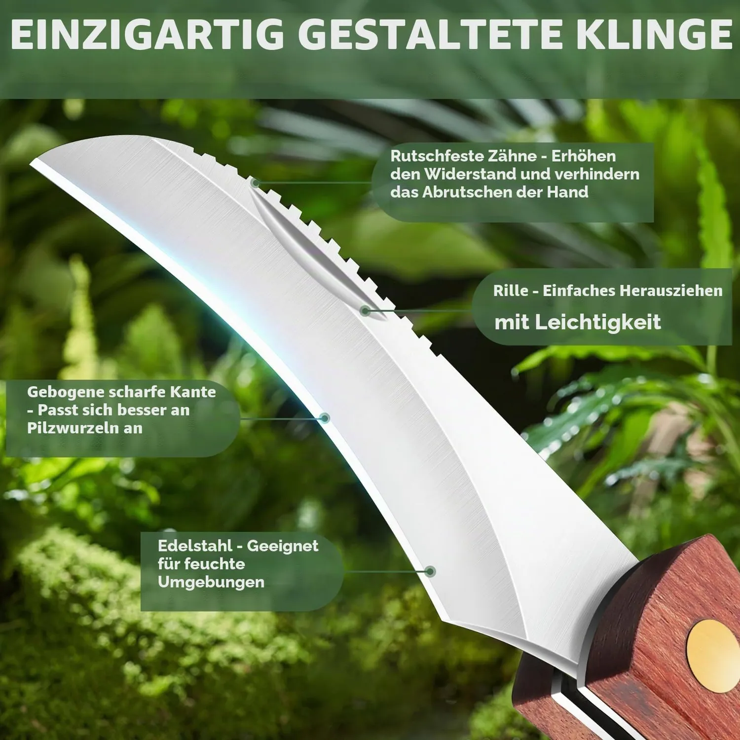 Jason Pilzmesser mit Bürste Set 2 Stück Klappmesser Holzgriff