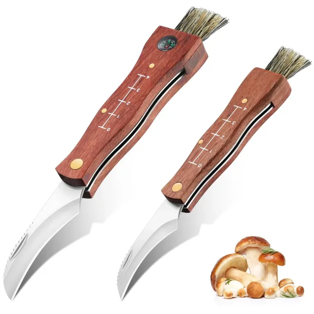 Jason Pilzmesser mit Bürste Set 2 Stück Klappmesser Holzgriff