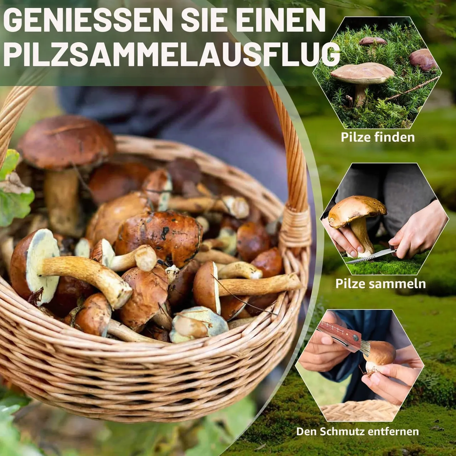 Jason Pilzmesser mit Bürste Set 2 Stück Klappmesser Holzgriff