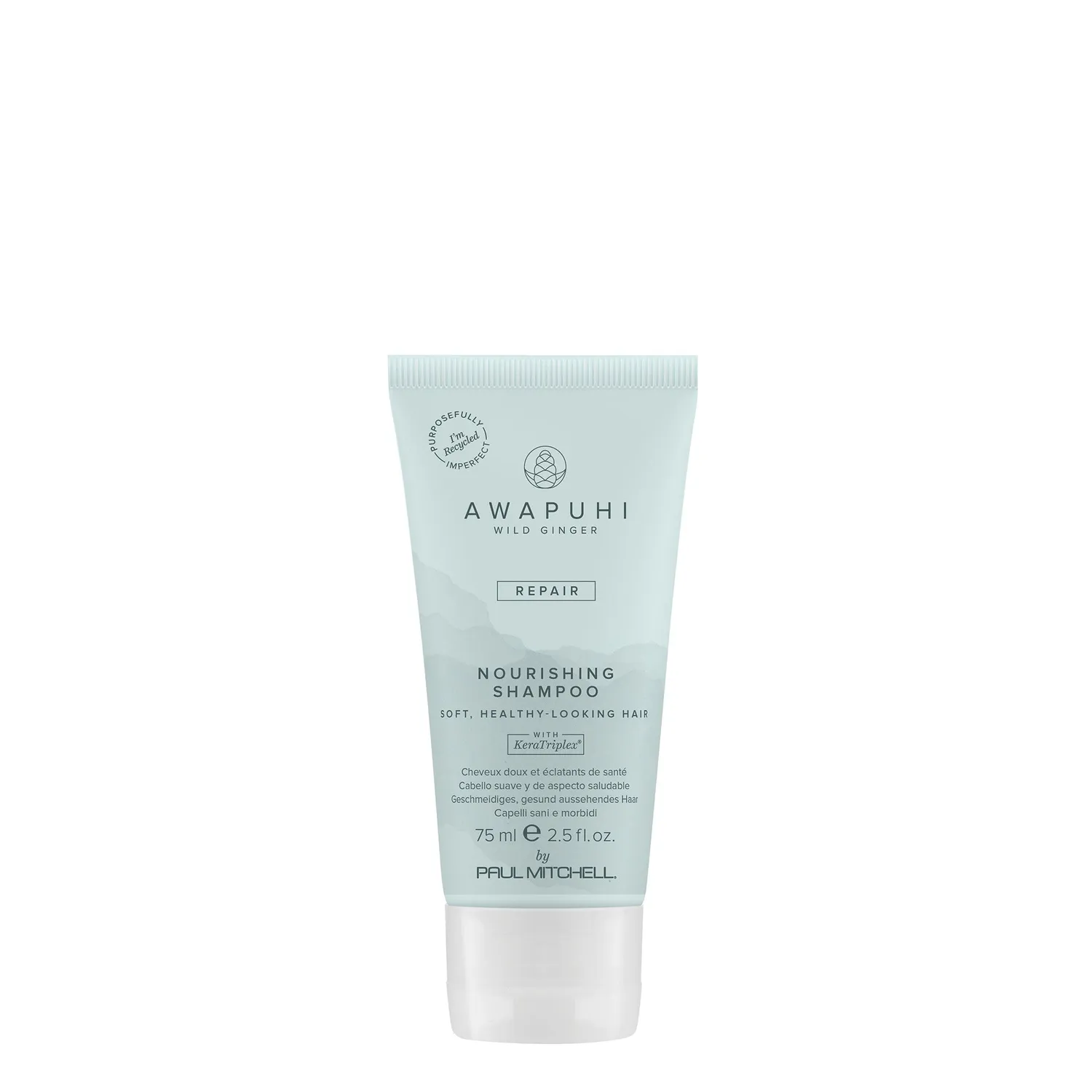 Paul Mitchell Awapuhi Wild Ginger Shampoo 250 ml sulfatfrei