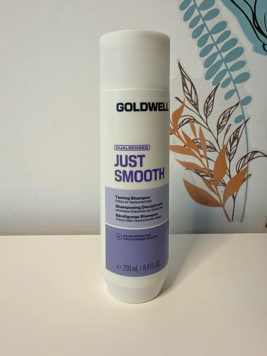 Goldwell Dualsenses Just Smooth Shampoo 1 l Anti-Frizz