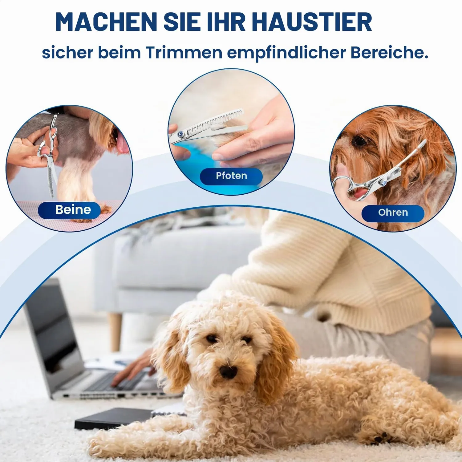 Jason Effilierschere Hunde 7 Zoll gebogen 50 Zähne Ausdünnung