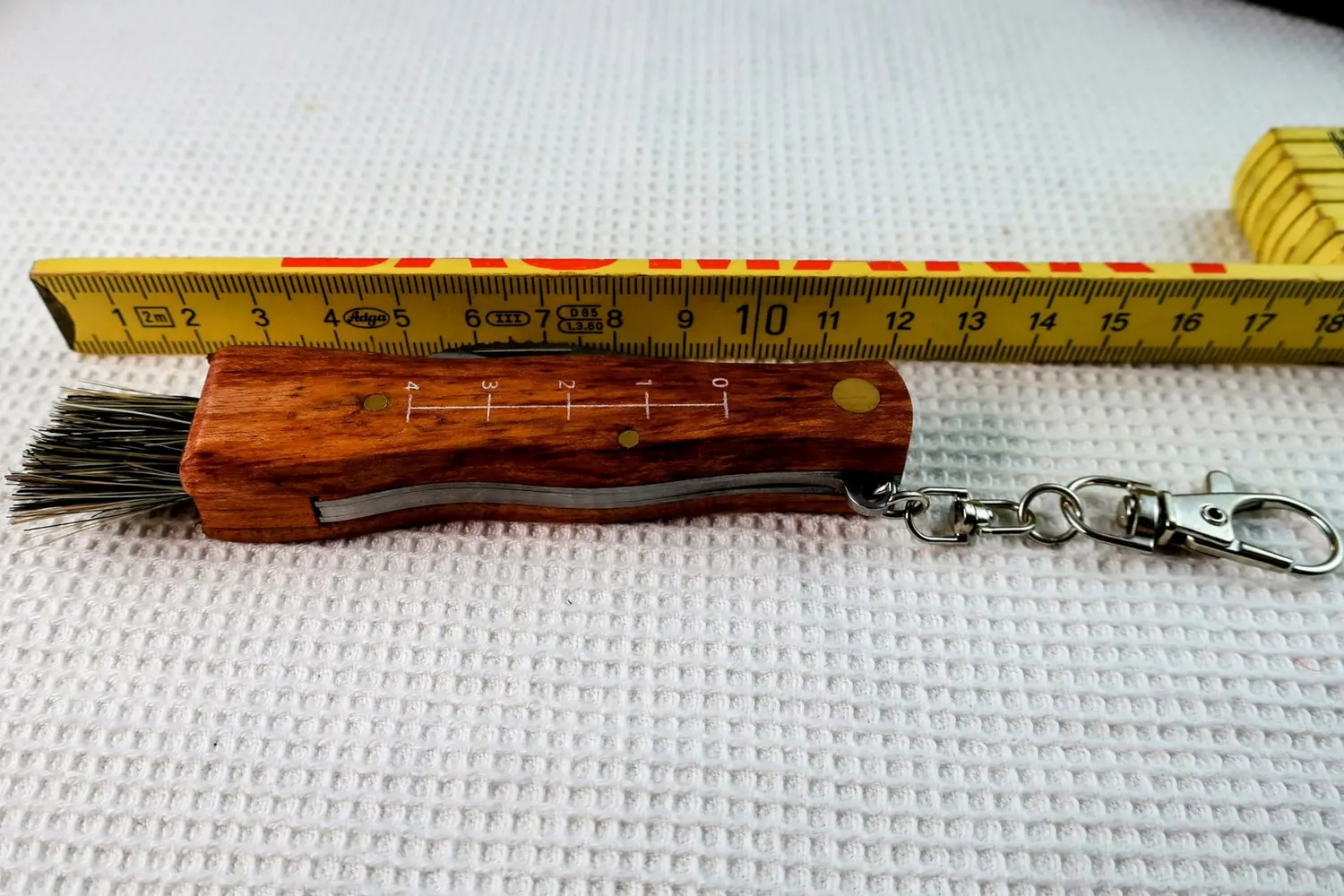 Jason Pilzmesser mit Bürste Set 2 Stück Klappmesser Holzgriff