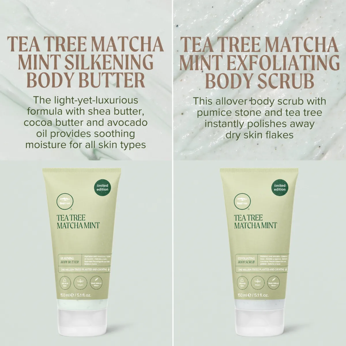 Paul Mitchell Tea Tree Matcha Mint Körperset 2x 5.1 oz.