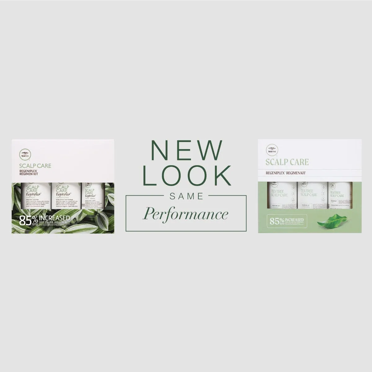 Paul Mitchell Tea Tree Regeniplex Set 3-teilig für dünnes Haar