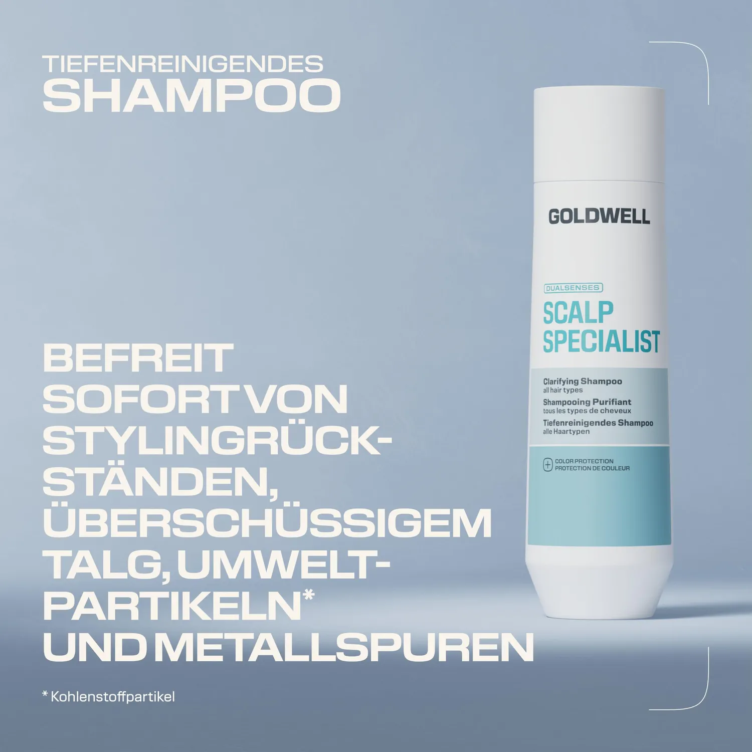 Goldwell Dualsenses Scalp Specialist Shampoo 250 ml Tiefenreinigung
