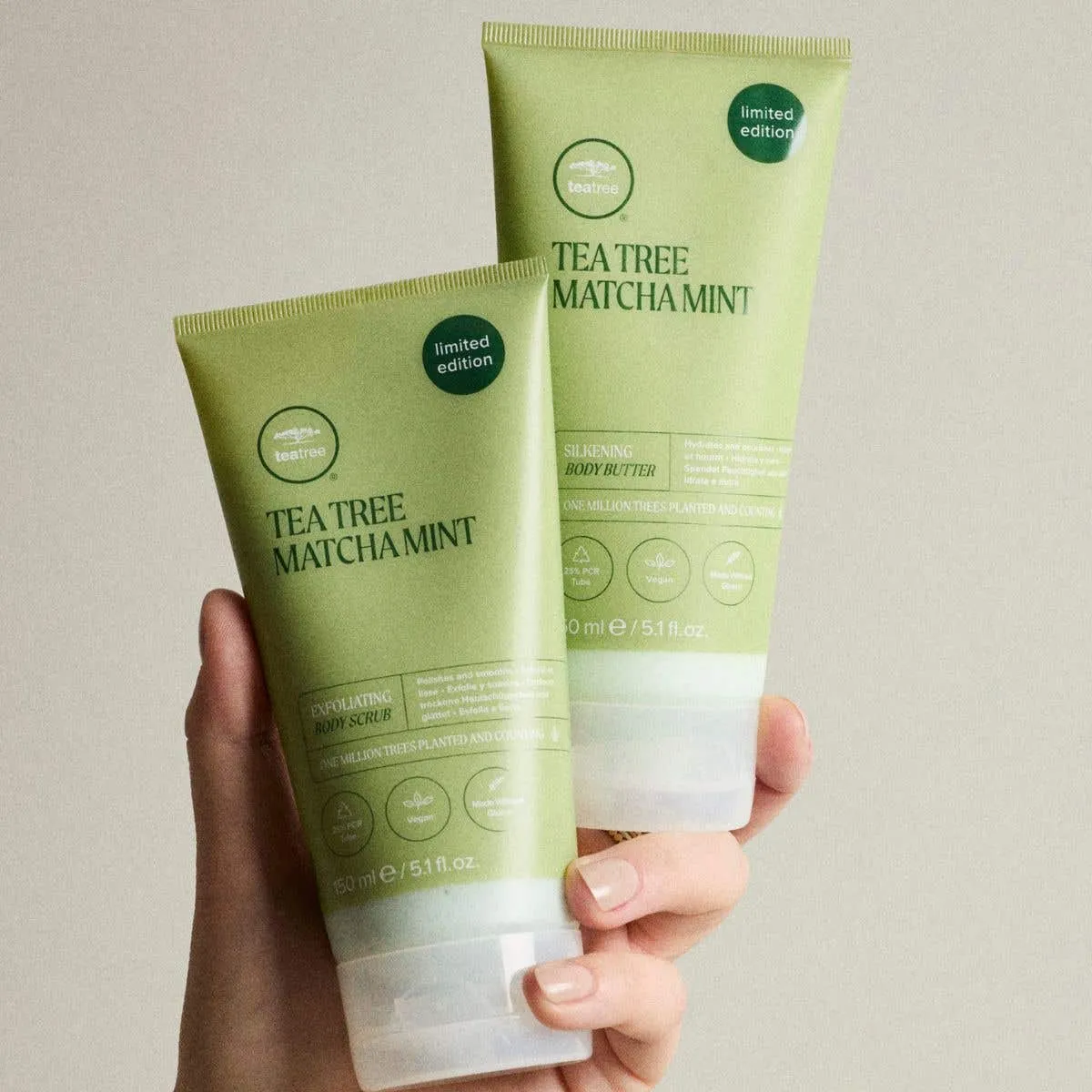 Paul Mitchell Tea Tree Matcha Mint Körperset 2x 5.1 oz.