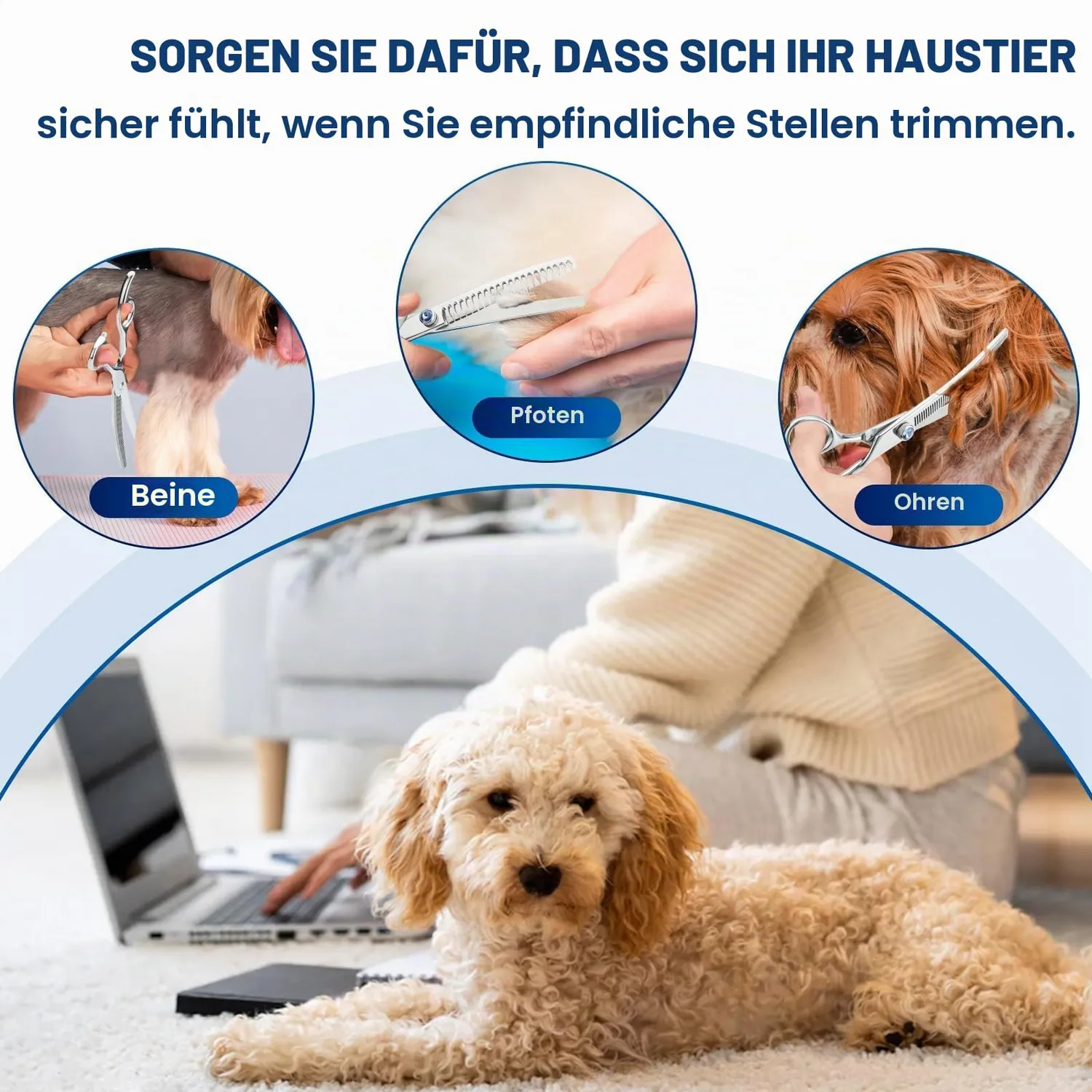 JASON Chunker Hundeschere 7 Zoll gebogen 21 Zähne 440C