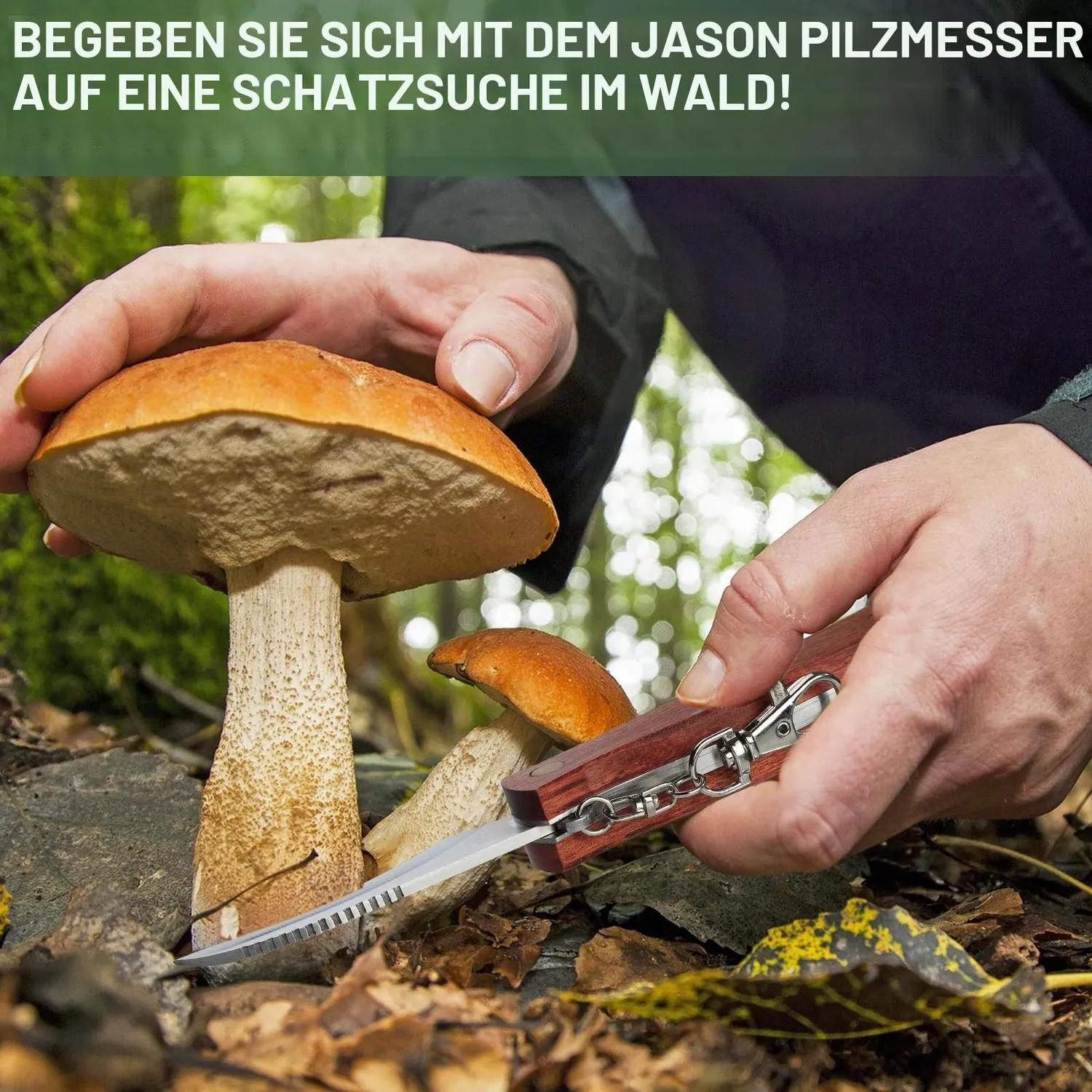 Jason Pilzmesser mit Bürste Set 2 Stück Klappmesser Holzgriff