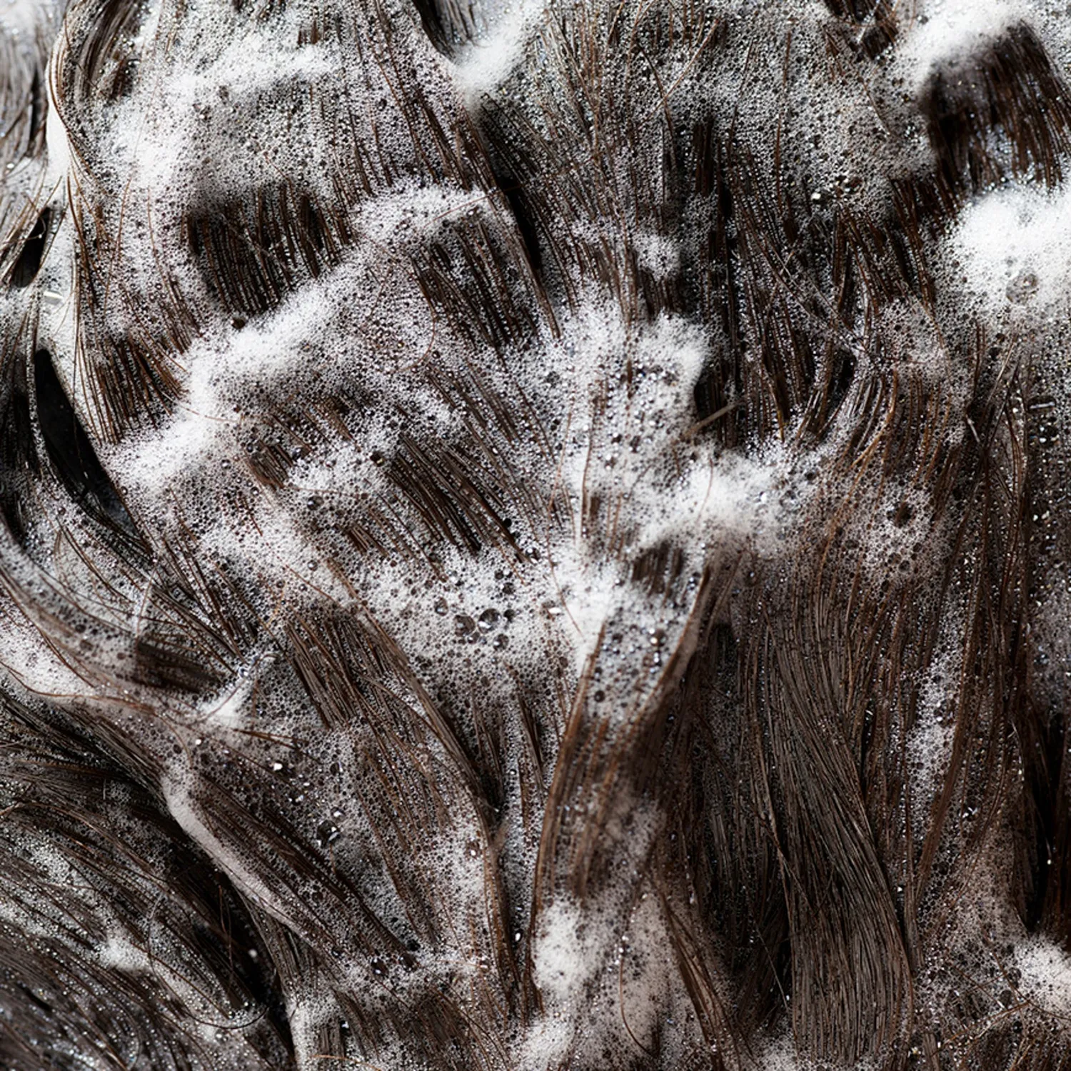 Oribe Signature Shampoo Haarshampoo Normal für Glanz