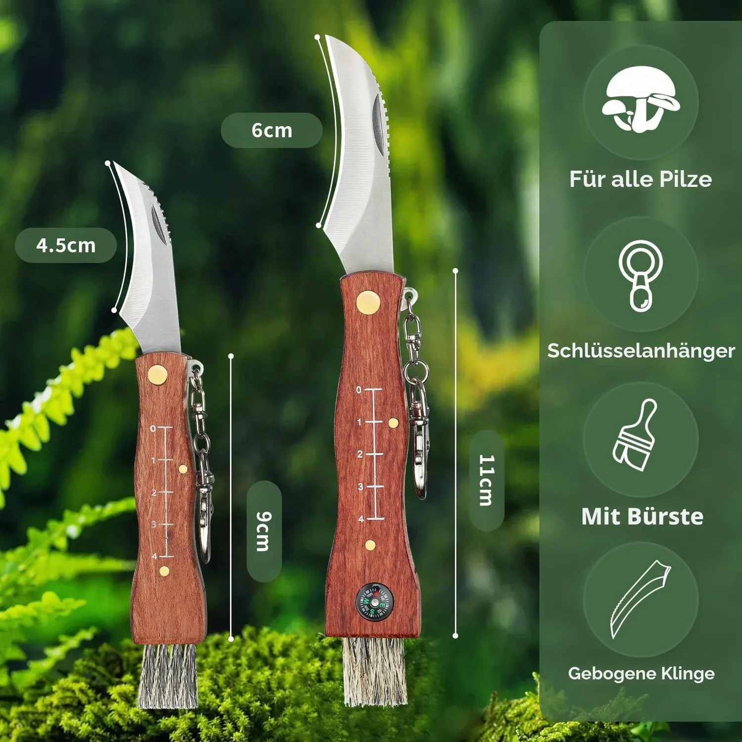 Jason Pilzmesser mit Bürste Set 2 Stück Klappmesser Holzgriff