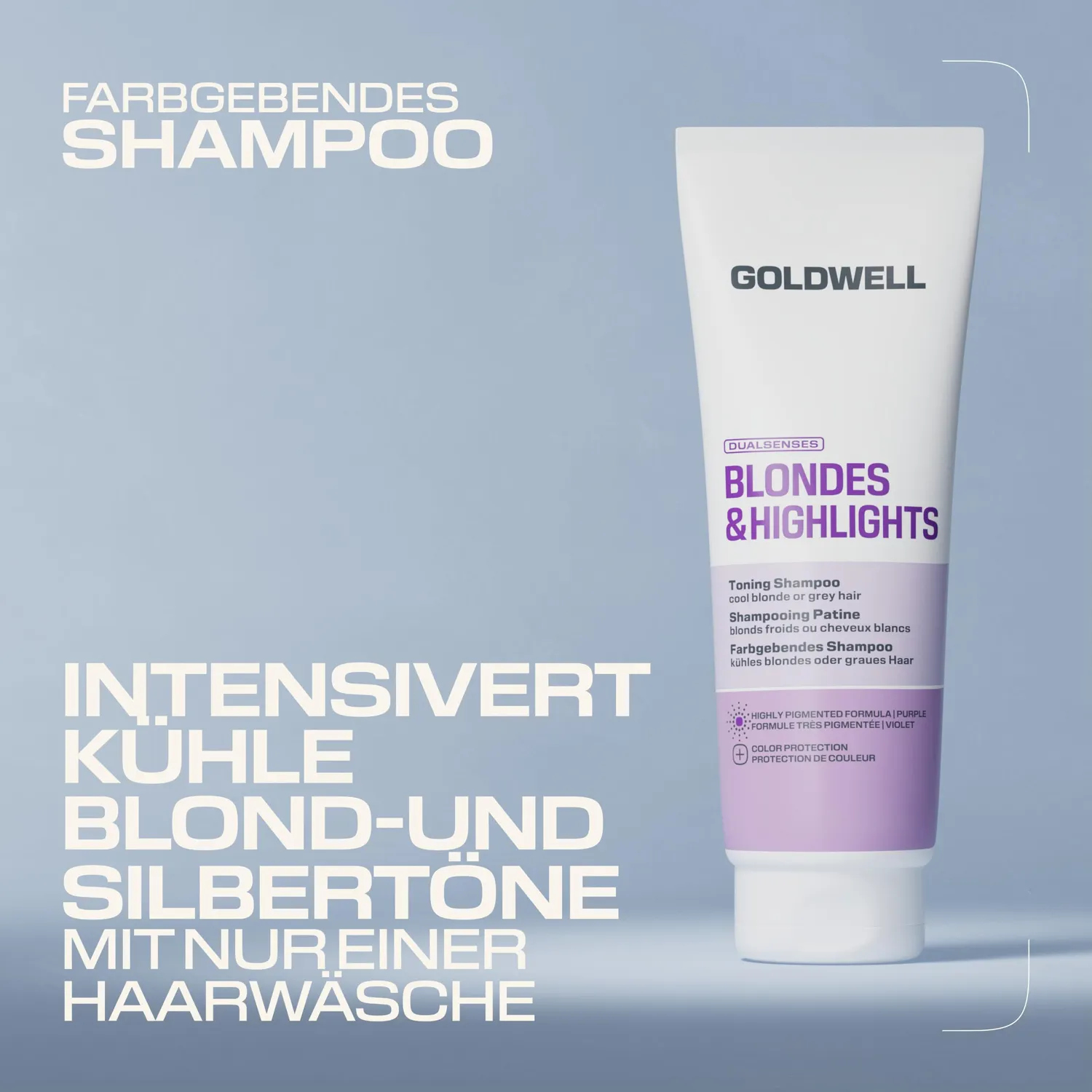 Goldwell Dualsenses Blondes & Highlights Shampoo Kühles Blond Neu