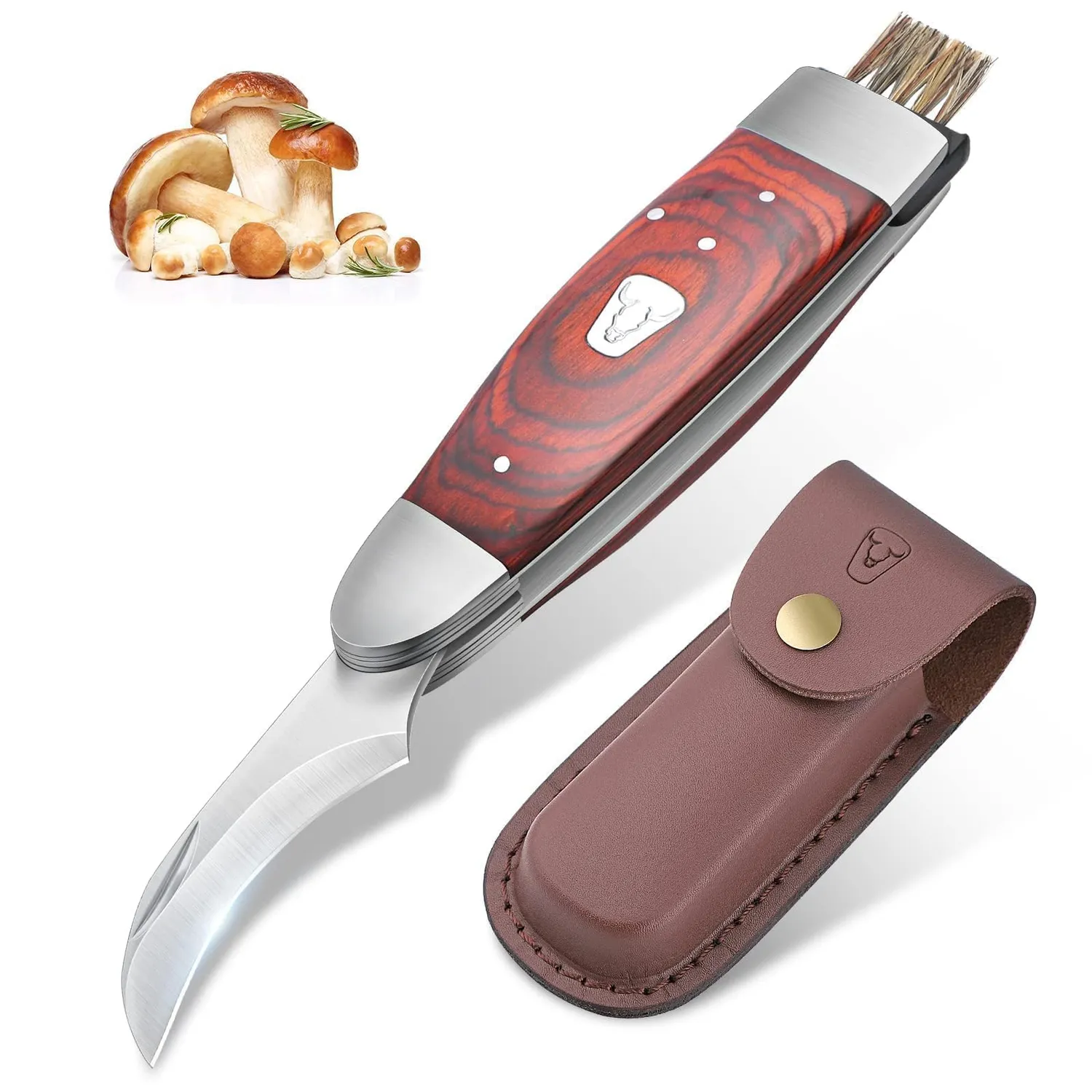 Jason Pilzmesser mit Bürste Set 2 Stück Klappmesser Holzgriff
