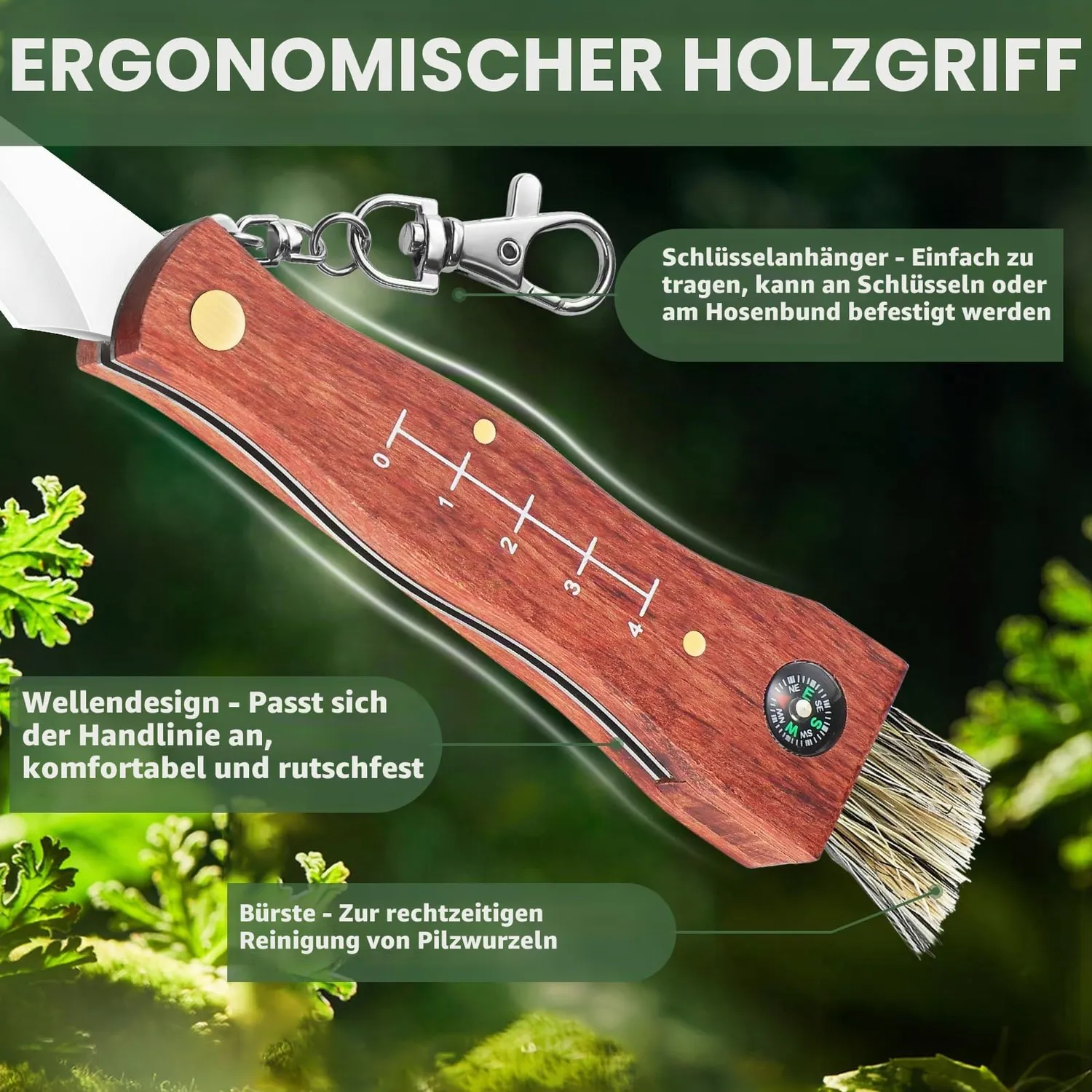 Jason Pilzmesser mit Bürste Set 2 Stück Klappmesser Holzgriff